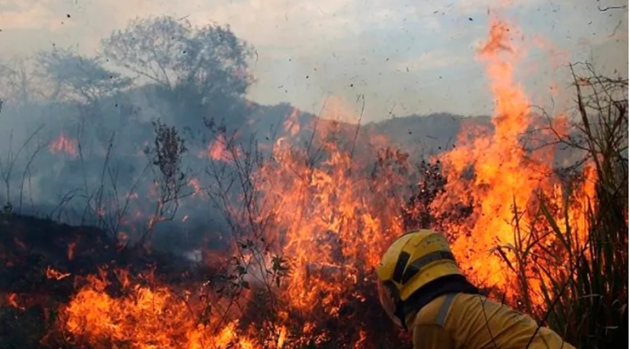 Reportan incendios forestales en Falcón