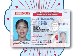 Illinois: El proceso para indocumentados que necesiten renovar la licencia