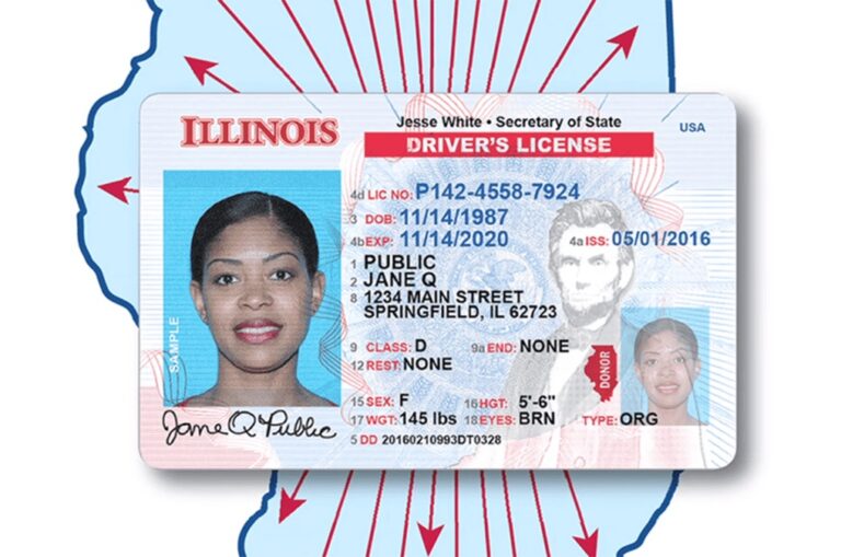 Sepa dónde pueden tramitar la licencia de conducir los indocumentados en Illinois
