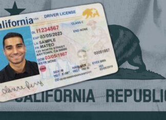 California | ¿Los migrantes indocumentados pueden tener licencia de conducir?