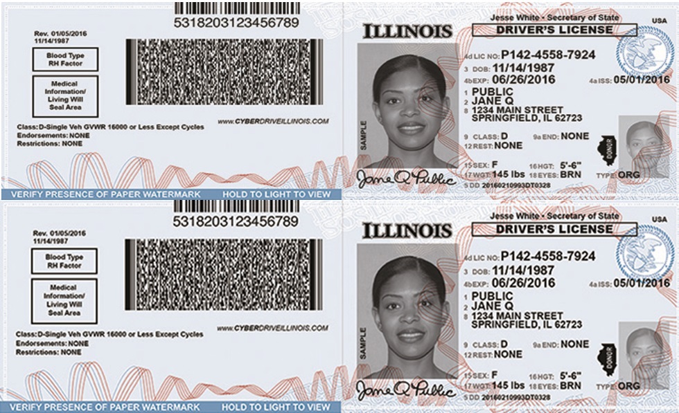 Esto necesita si quiere obtener la nueva licencia de conducir para indocumentados en Illinois