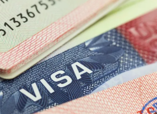 Las tres opciones de visas que tienen los venezolanos para ingresar a EEUU