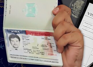Estados Unidos no pide visa a las personas con estas nacionalidades (+LISTA)