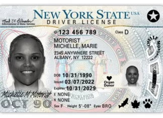 EEUU | El estado de Nueva York revoca licencias de conducir por estos motivos (+Detalles)