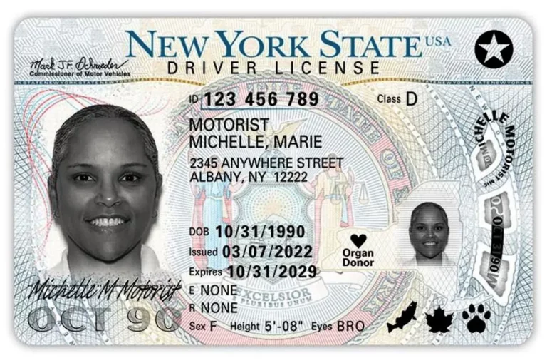EEUU | El estado de Nueva York revoca licencias de conducir por estos motivos (+Detalles)
