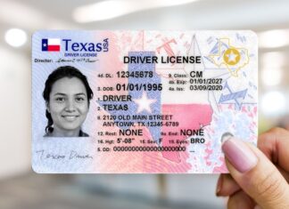 Texas | ¿Cómo se solicita un reemplazo de licencia de conducir o Real ID? (+Paso a paso)
