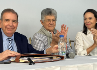 Acción Democrática ratifica su apoyo al candidato Edmundo González