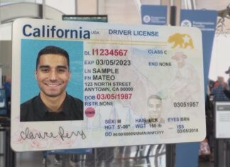 ¿Puede un inmigrante sacar Real ID en California? (+Requisitos)