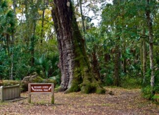 Florida | Acceso a parques estatales será gratuito durante fin de semana de Memorial Day
