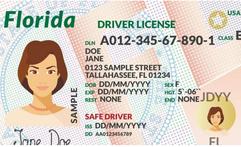 EEUU | Florida entrega licencias de conducir tras aprobar estos exámenes