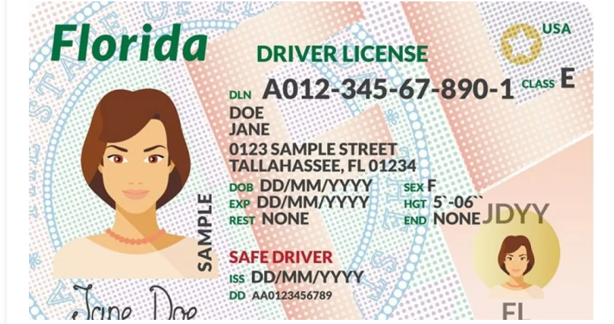 EEUU | Florida entrega licencias de conducir tras aprobar estos exámenes