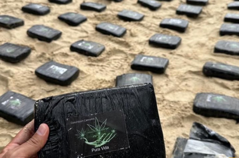 Hallan 20 kilos de marihuana abandonada en playa de La Guaira (+Detalles)