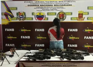 Detienen a una mujer con armas largas provenientes de Perú
