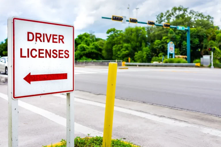 EEUU | ¿Qué necesita un inmigrante para sacar la licencia de conducir en Florida? (+Requisitos)