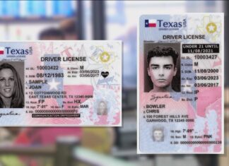 Florida | Conozca los exámenes que exige el estado para sacar la Real ID (+Lista)