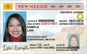 EEUU | El estado de Nuevo México revoca licencias de conducir por estas razones