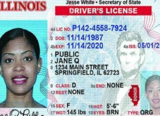 EEUU | Illinois exige estas pruebas para otorgar la licencia de conducir (+Detalles)