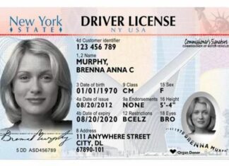 Así se puede sacar la licencia de conducir un indocumentado en Nueva York (+Requisitos)