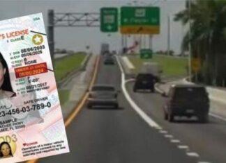 ¡Inmigrantes en Florida! : Sepa de qué trata la nueva ley de licencias para conducir