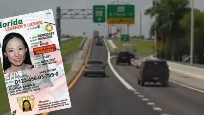 Endurecen sanciones para quienes manejen sin licencia de conducir en Florida
