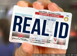 Illinois| Si eres indocumentado tu licencia de conducir debe tener una estrella amarilla: ¿Por qué?
