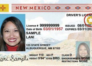 ¿Cómo sacar la licencia de conducir en Nuevo México si eres inmigrante? (+Requisitos)