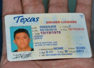 EEUU | Estas son las penas por poseer una licencia de conducir falsa