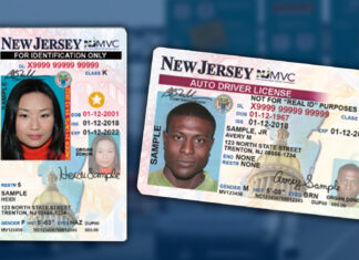 EEUU | Nueva Jersey entrega licencias de conducir tras aprobar estos exámenes