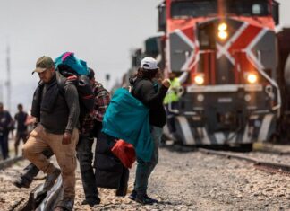 Identifican a joven migrante que perdió sus piernas tras caer del tren 