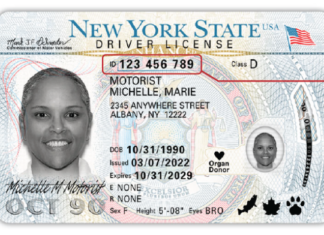 EEUU | Nueva York entrega licencias de conducir tras aprobar estos exámenes (+COSTOS)