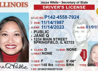 EEUU | ¿Cómo saber si necesitas un Real ID en Illinois? (+Requisitos)