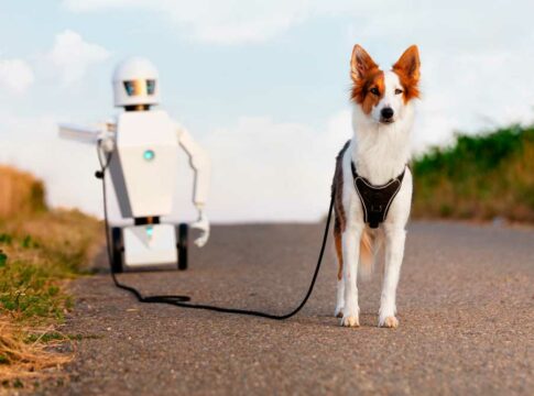 Cuida el bienestar de tu mascota con tecnología innovadora