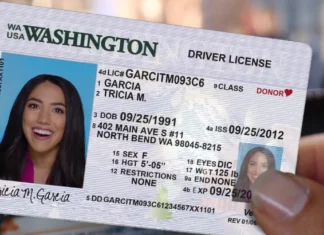 EEUU | Así puedes conseguir la licencia de conducir para indocumentados en Washington (+Requisitos)