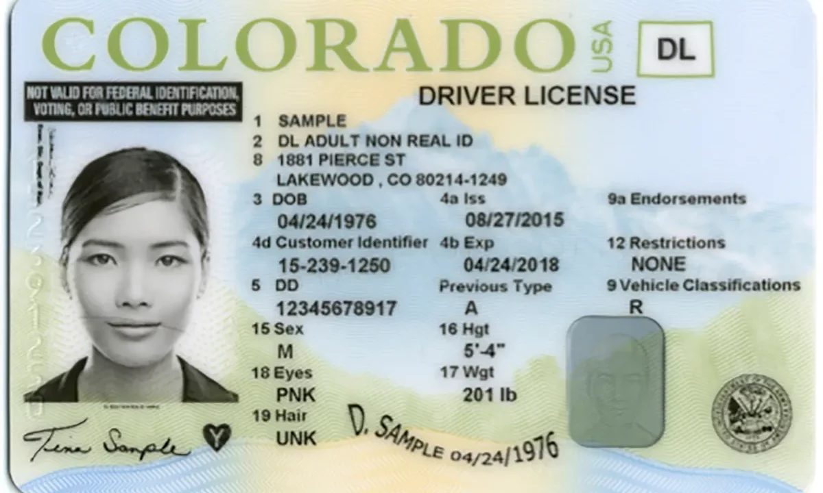 EEUU | Nueva ley en Colorado ayuda a indocumentados para conseguir su licencia de conducir
