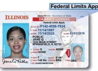 Illinois | Requisitos para que indocumentados soliciten la licencia de conducir estándar desde el #1Jul
