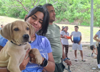 Sepa dónde habrá operativo de atención veterinaria integral este #7Ago