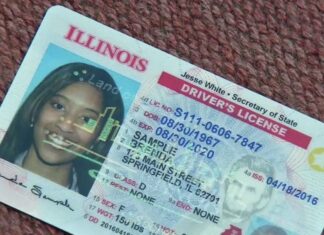 Illinois | ¿Se puede aprobar el examen para licencia de conducir en español? (+Detalles)