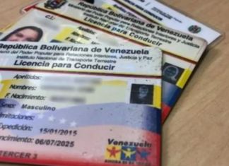 De esta manera podrás renovar tu licencia de conducir venezolana desde el extranjero