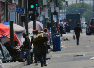 Vendedores ambulantes latinos en Los Ángeles se enfrentan diariamente a delitos de odio (+TESTIMONIO)
