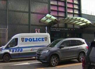 Nueva York | Conductora mató a una anciana cuando intentaba arrollar a un hombre