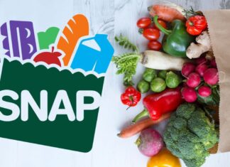EEUU | ¿Cuándo los beneficiarios de SNAP recibirán su próximo pago en California y Florida?