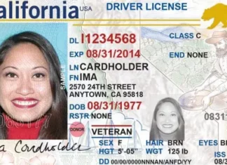 ¿Cómo solicitar la Real ID en línea por la web del DMV de California? (+Detalles)
