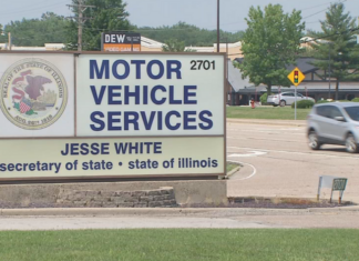 EEUU | Así serán las licencias de conducir y Real ID en Illinois (+Detalles)