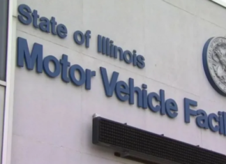 Illinois | Sepa cuánto cuesta la nueva licencia de conducir para indocumentados