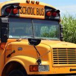 EEUU | Illinois revoca licencia de conducir transporte escolar por estas razones
