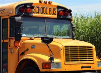 EEUU | Illinois revoca licencia de conducir transporte escolar por estas razones