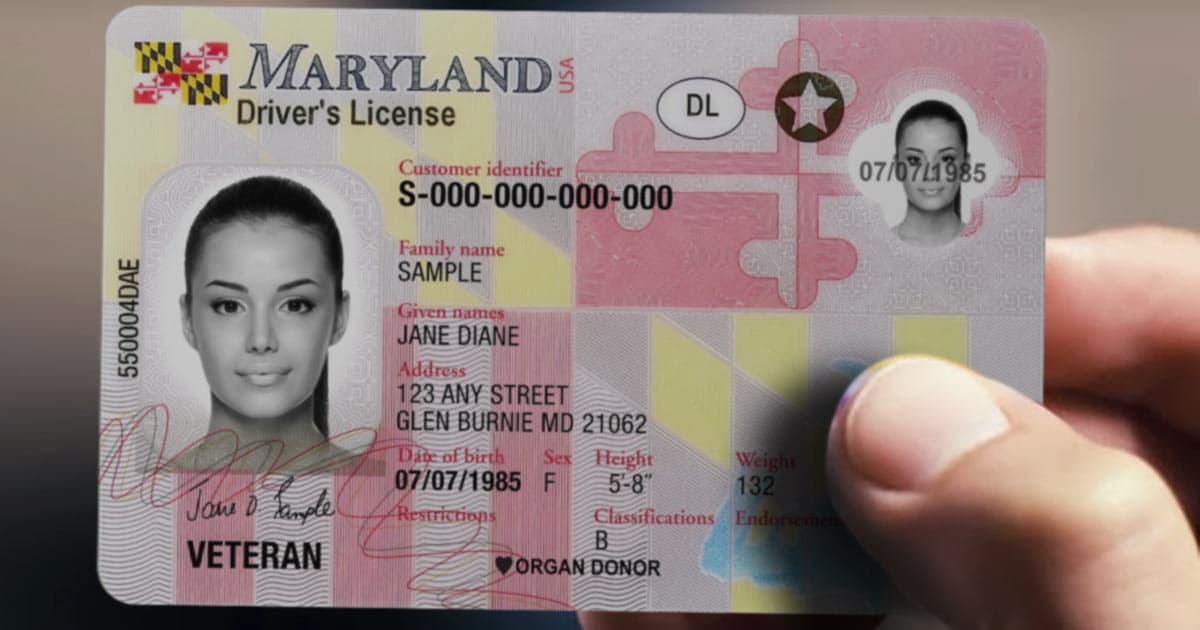EEUU | ¿Cómo tramitar la licencia de conducir en Maryland? (+Requisitos)