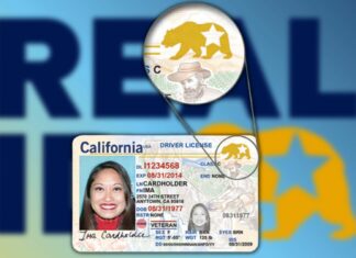 EEUU | ¿Para solicitar la Real ID se necesita tener número de Seguro Social? (+Requisitos)