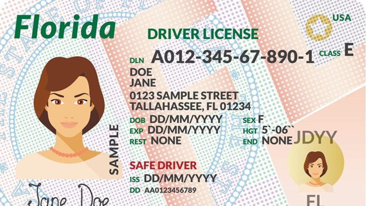 Florida | Con estos pasos puedes renovar la licencia de conducir y tarjeta de identificación
