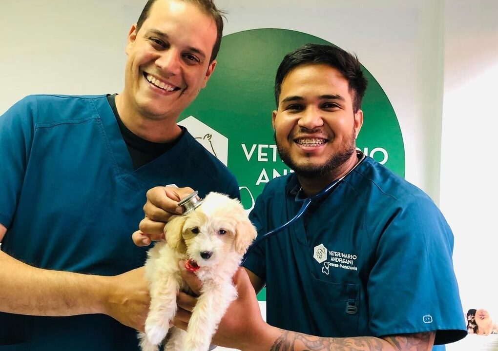 Caracas tiene veterinarios a domicilio y estas son sus tarifas